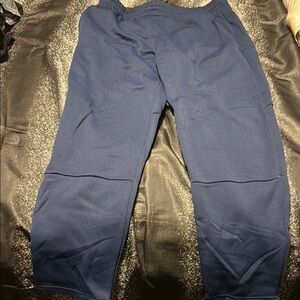 Blue Jogger Pants